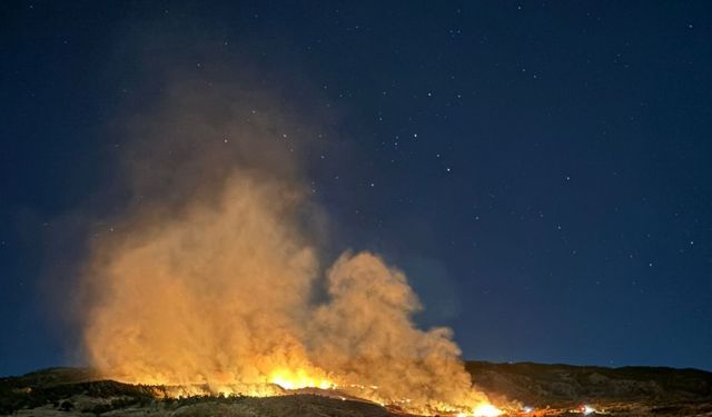 Gölbaşı’nda ormanlık alanda çıkan yangın korkuttu