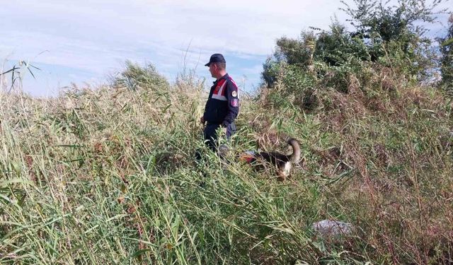 Günlerdir aranıyordu, cansız bedeni yol kenarında bulundu