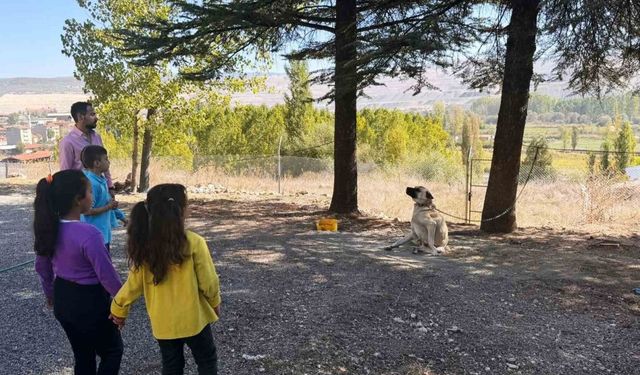 Hisarcık’ta özel öğrencilere hayvanlar tanıtıldı