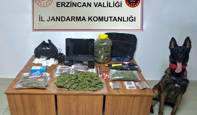 Jandarma ekipleri Erzincan’da uyuşturucuya geçit vermiyor