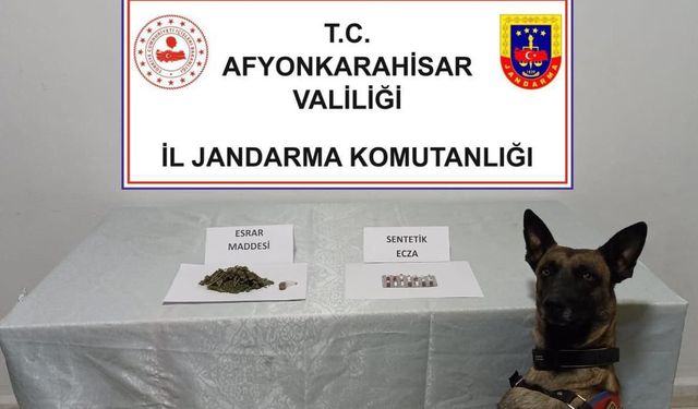 Jandarma uyuşturucu maddeler ele geçirdi