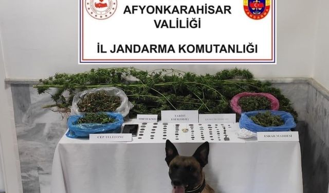 Jandarmadan uyuşturucu ve tarihi eser operasyonu