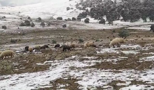 Kar yağışına yaylada yakalandı, koyunlarına türkü söyleyerek duygusal anlar yaşattı