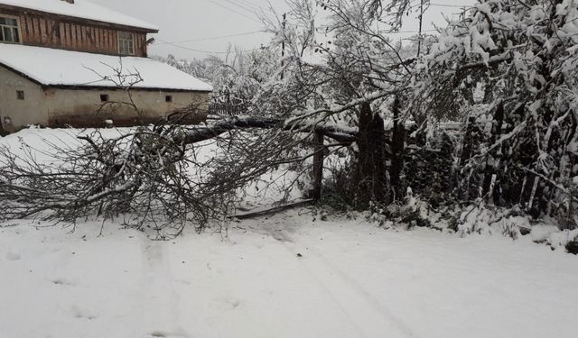 Kastamonu’da ekiplerin karla mücadelesi erken başladı