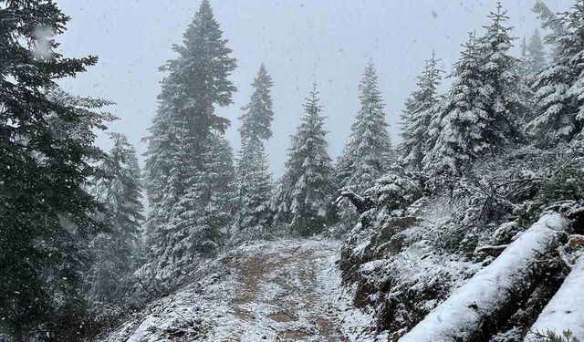 Kastamonu’nun yüksek kesimlerinde kar yağışı etkili olmaya başladı