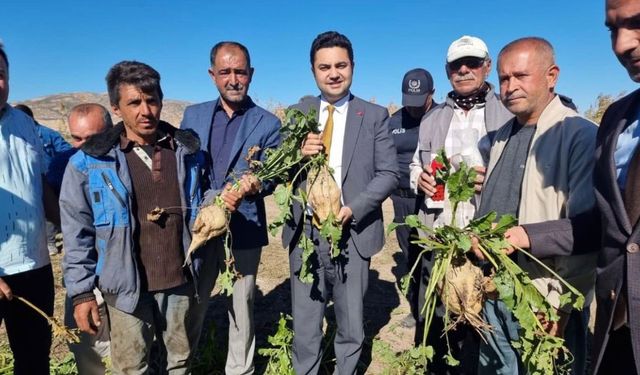 Kaymakam Seyhan, şeker pancarı hasadına katıldı