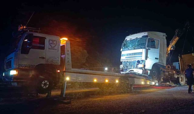 Kontrolden çıkan tırın karşı şeride geçmesine ağaçlar engel oldu