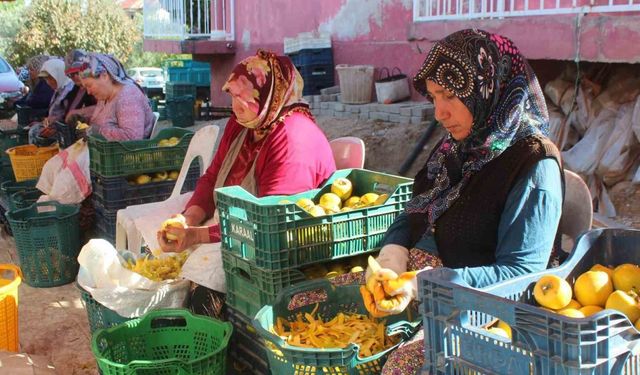 Manisa’da şifa kaynağı cennet hurmasına talep artıyor