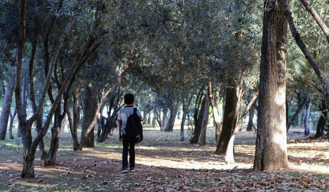 Manisa’ya sonbahar güzelliği geldi