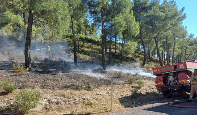 Mersin’de vadide çıkan orman yangını, büyümeden söndürüldü