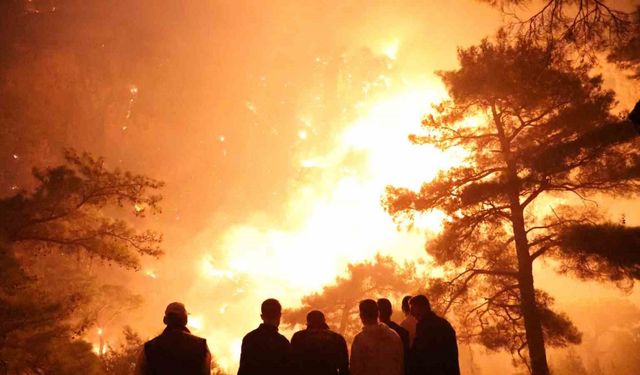 Muğla’daki orman yangınında alevler geceyi aydınlattı