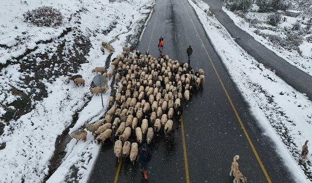 Ordu yaylalarında görsel kar şöleni