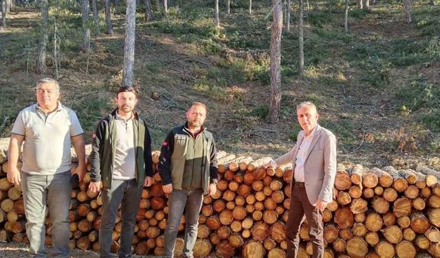 Orman Bölge Müdürü Dingil, Kütahya, Emet ve Simav’da incelemelerde bulundu