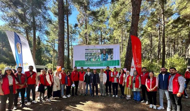 Osmaniye’de ormanlık alanlar temizlendi