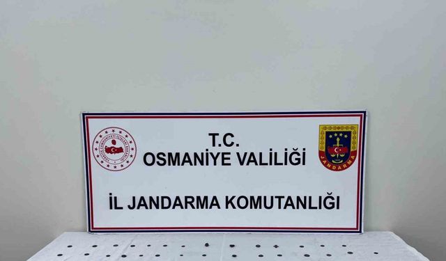 Osmaniye’de tarihi eser operasyonu: 89 adet sikke bulundu