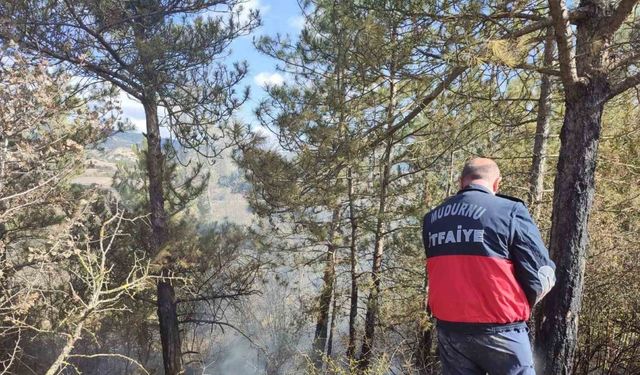 Ot yangını ormana sıçramadan söndürüldü