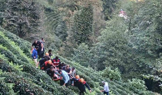 Rize’de araç uçuruma yuvarlandı: 1 ölü, 1 yaralı