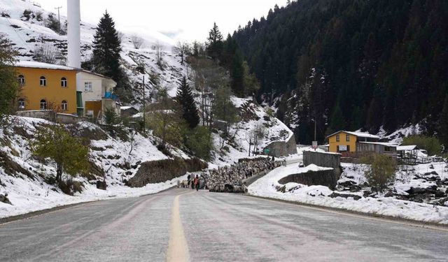 Rize’nin karlı yaylalarından kartpostallık görüntüler