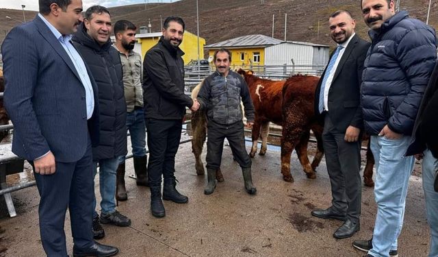 Sarıkamış Belediye Başkanı Serdar Kılıç, Hayvan Pazarında incelemelerde bulundu