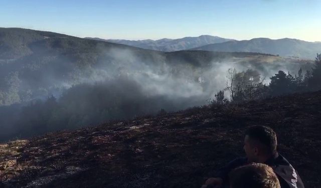 Sivas’ta örtü yangını kontrol altına alındı