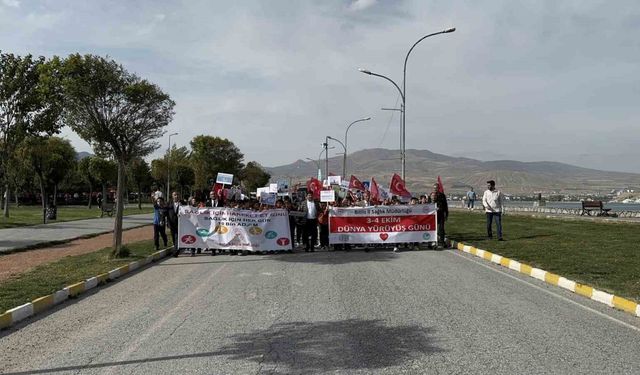 Tatvan’da Dünya Yürüyüş Günü etkinliği düzenlendi