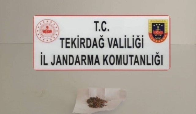 Tekirdağ’da uyuşturucu ve kaçakçılık operasyonları: Sentetik hap ve silah ele geçirildi