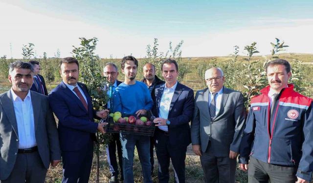 Vali Karakaya, Ahlat’ta elma bahçesini gezdi