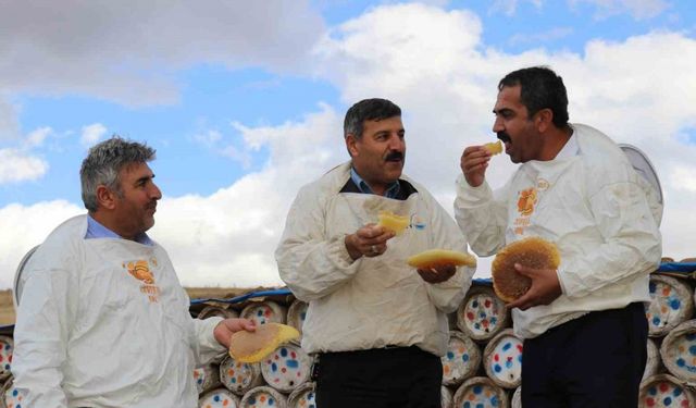 Vanlı arıcılar son yılların en verimli sezonunu yaşadı