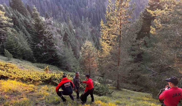 Yaşlı çift ormanda ölü bulundu: Hipotermi geçirdikleri düşünülüyor