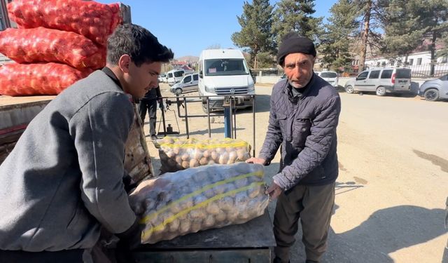 Yüksekova’da patates satışları başladı