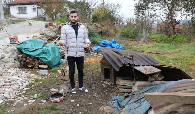 Çalındığını düşündükleri köpeklerini kurtlar götürmüş