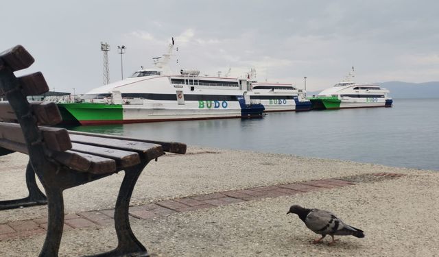 Bursa Deniz Otobüsleri seferlerinin tamamı iptal edildi