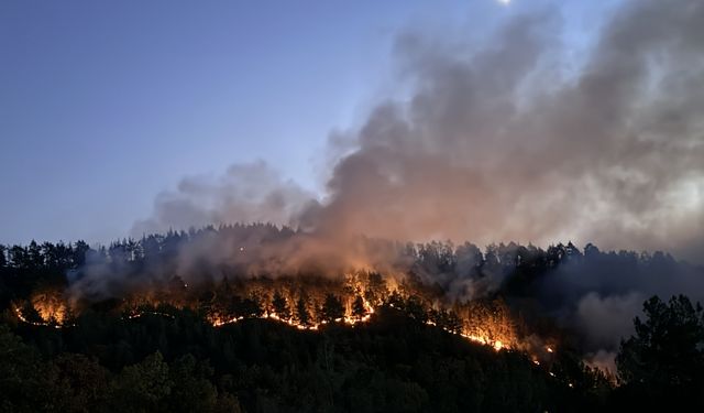 Bursa ile Balıkesir il sınırında çıkan orman yangını kontrol altına alındı