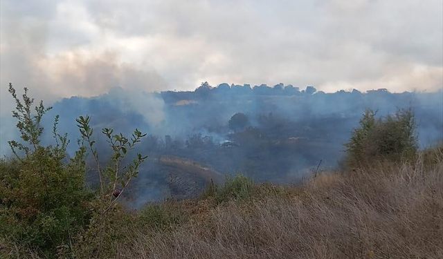 Çanakkale’de çıkan orman yangınına müdahale ediliyor