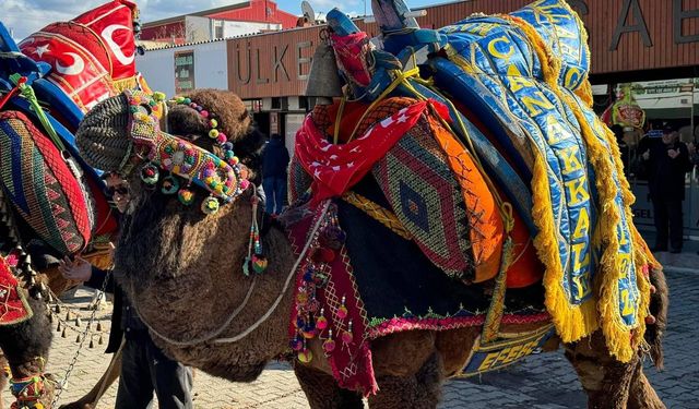 Çan'da havut giydirme hayrı yapıldı