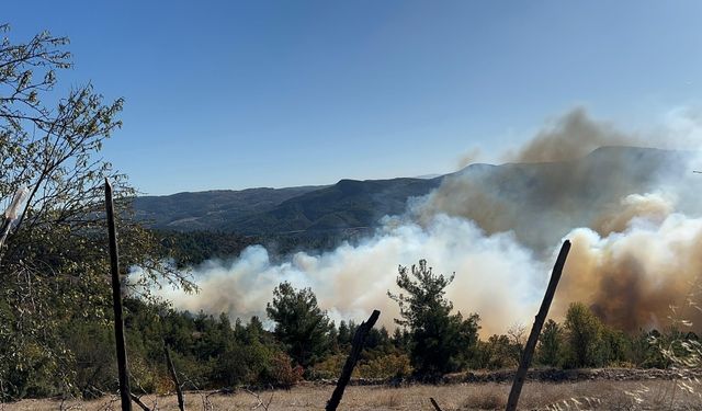 GÜNCELLEME - Bursa'da çıkan orman yangınlarına müdahale ediliyor