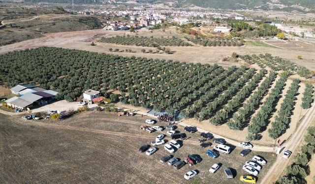 "Kış mevsiminin gelir kapısı" zeytinde hasat devam ediyor