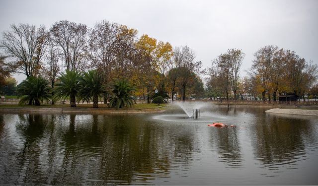 Sakarya kent merkezindeki parklar güz renkleriyle hareketlendi