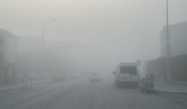 Sakarya'da sis etkili oldu