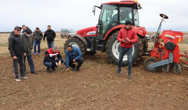 Süloğlu ilçesinin Yağcılı köyünde suni mera oluşturuldu