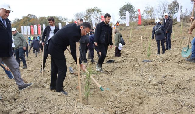 Tekirdağ Cumhuriyet Başsavcılığı fidan dikti