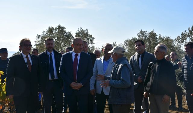 Tekirdağ Valisi Soytürk, Şarköy ilçesinde zeytin hasadına katıldı