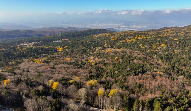 Uludağ'da dron kamerasından resim tablosunu andıran sonbahar manzaraları