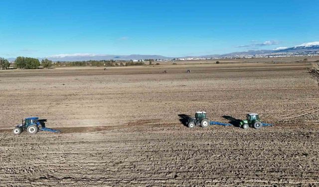 800 dönümlük araziye güzlük buğday ekildi