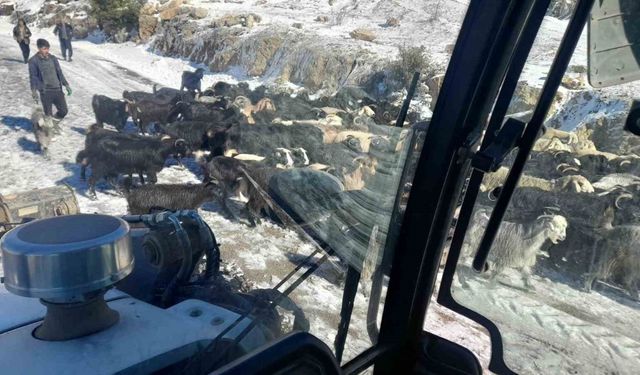 Adana’da karda mahsur kalan yayla sakinleri ve çobanlar kurtarıldı