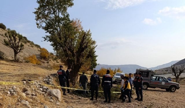 Ağaç budarken düşen yaşlı adam hayatını kaybetti