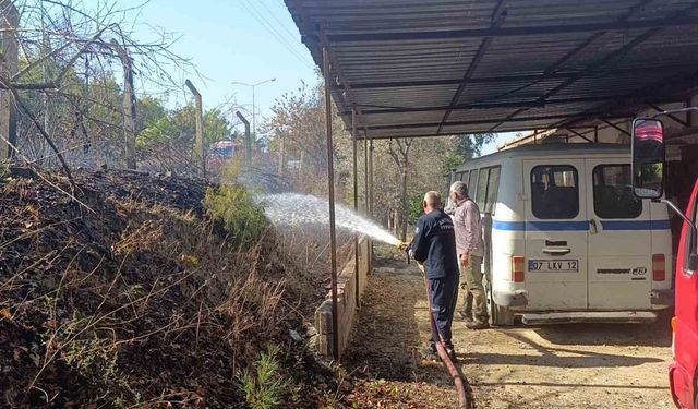 Ağaç ve çalılık yangınında kirpi telef oldu, kamyonet zarar gördü