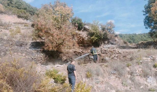 Alanya’da merada çıkan yangın kontrol altına alındı