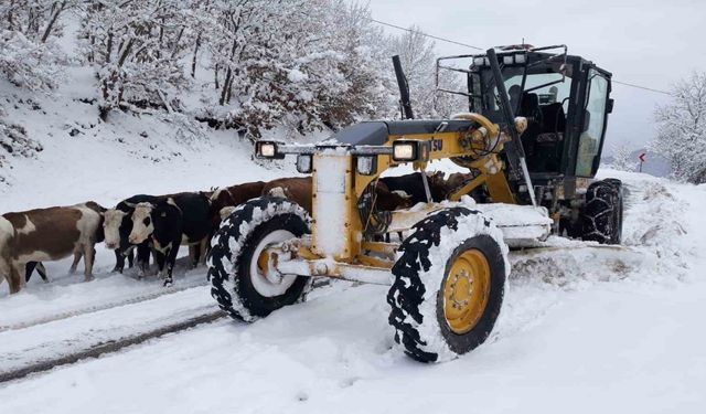 Amasya’da 107 köy yolu kar yağışından ulaşıma kapandı