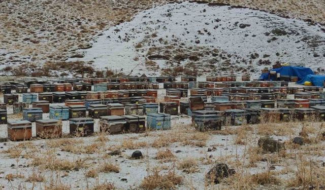 Bahçesaray Kaymakamlığından sürücülere "zorunlu olmadıkça yola çıkmayın" uyarısı